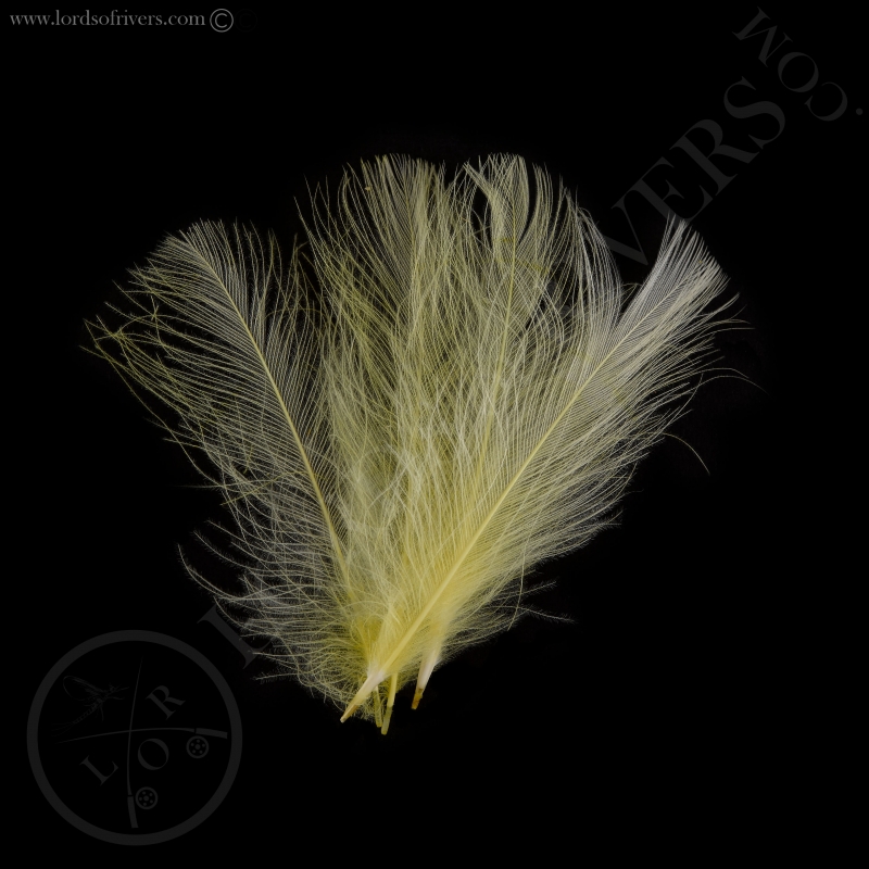 Swiss CDC Ultra Select Pale Yellow Swiss CDC Ultra Select Pale Yellow