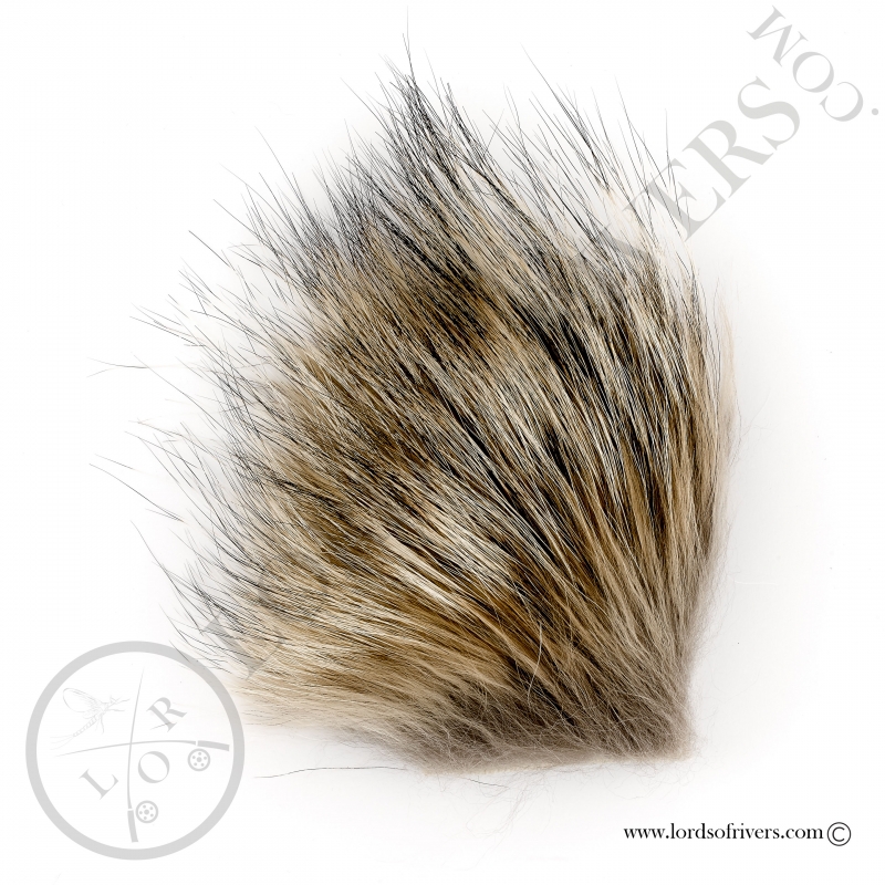 Coyote poils sur peau Lords Of Rivers Coyote poils sur peau Lords Of Rivers