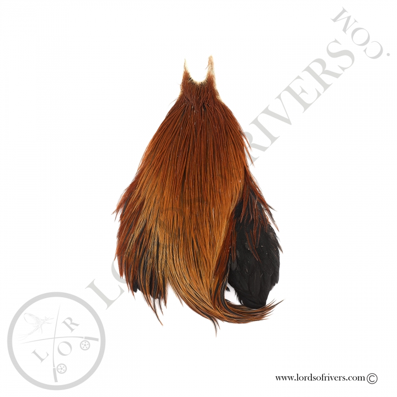 Metz grade 2 rooster neck Brown Metz grade 2 rooster neck Brown