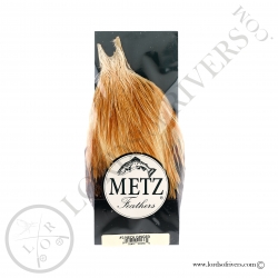 Metz grade 2 rooster neck Ginger