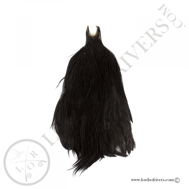 Metz grade 2 rooster neck Black Metz grade 2 rooster neck Black