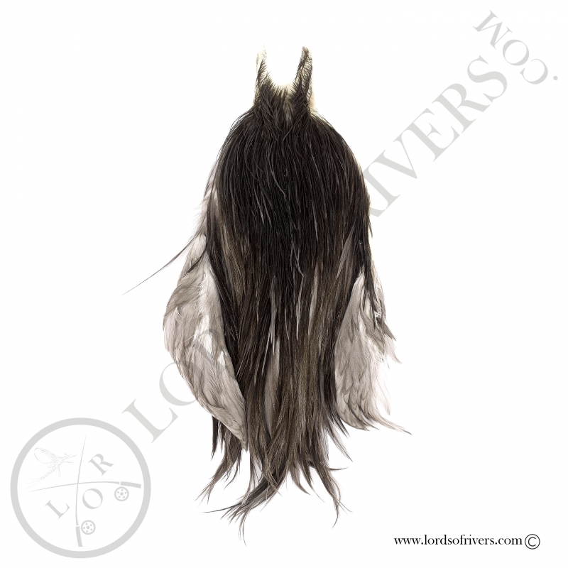 Metz grade 2 rooster neck Dun Metz grade 2 rooster neck Dun