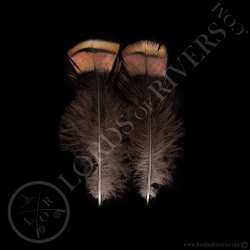 2-married-pink-wild-turkey-feathers-lord