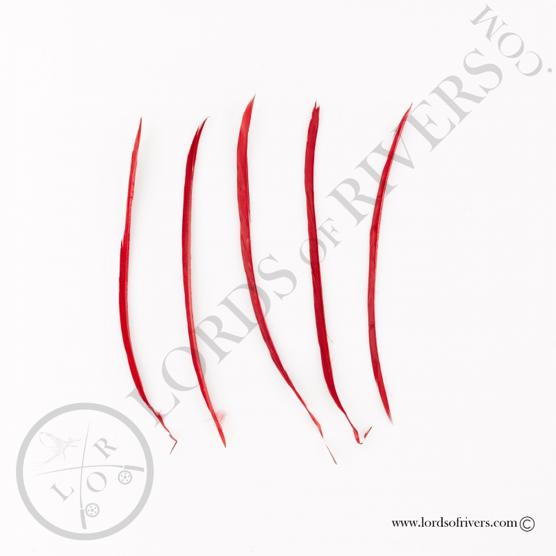 Goose Biots - 5 mono Color Feathers Lords of Rivers - Red