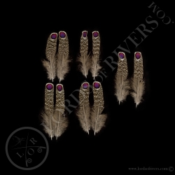 Grey Peacock Pheasant Paired Eyed Feather M/L/XL Lords Of Rivers