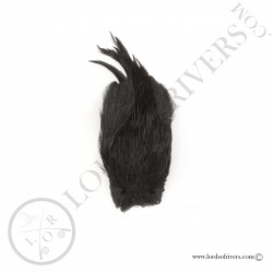 Indian Cock Cape Veniard - Black