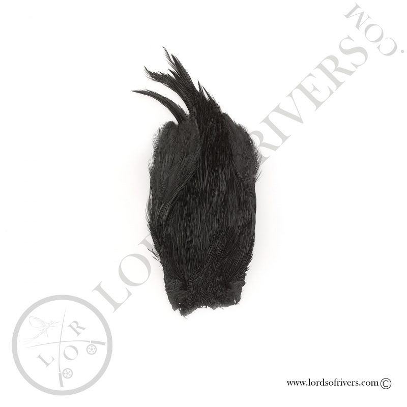 Indian Cock Cape Veniard - Black Indian Cock Cape Veniard - Black