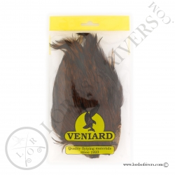 Indian Cock Cape Veniard - Red Game