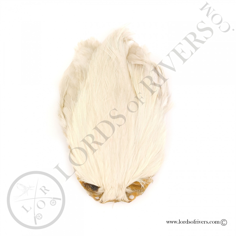 Cou de coqs indien Veniard - White
