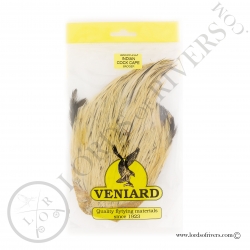 Indian Cock Cape Veniard - Badger