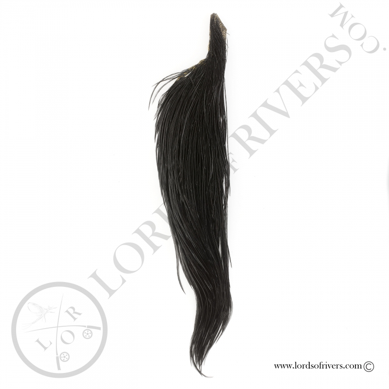 Demi cou de coq Whiting - Black Demi cou de coq Whiting - Black