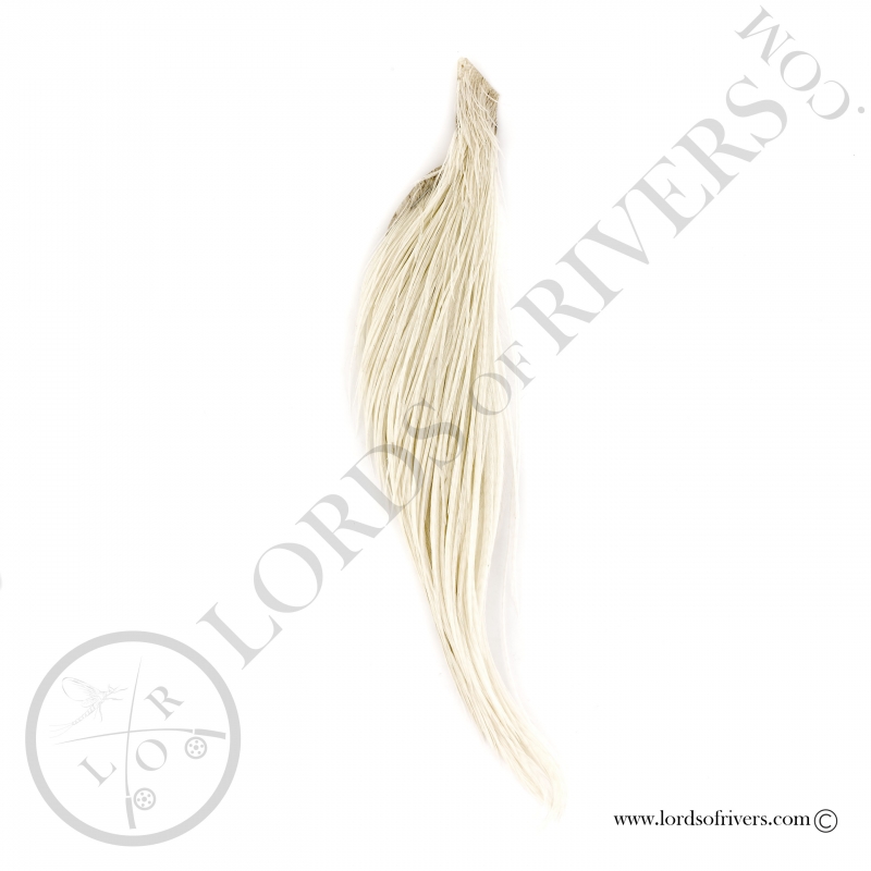 Whiting half rooster cape - White Whiting half rooster cape - White