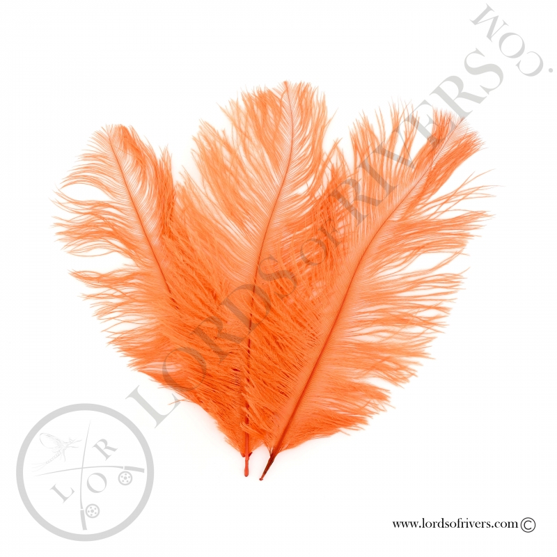 Ostrich feathers 3.94/5.90 in. Lords of Rivers - Orange Ostrich feathers 3.94/5.90 in. Lords of Rivers - Orange