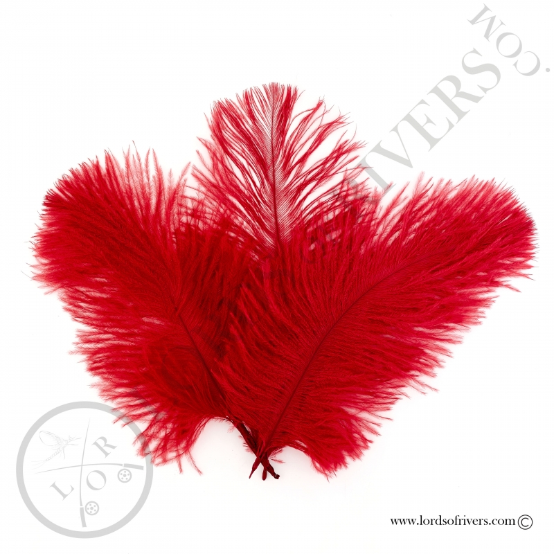 Ostrich feathers 3.94/5.90 in. Lords of Rivers - Red Ostrich feathers 3.94/5.90 in. Lords of Rivers - Red