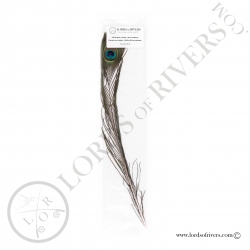 peacock-eye-barbes-19-65-in-lords-of-riv