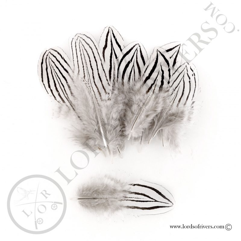 Silver pheasant body feathers Lords of Rivers Silver pheasant body feathers Lords of Rivers