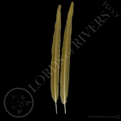 Blue & Gold Macaw paired center tail Lords Of Rivers