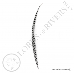 Lady Amherst pheasant - Center tail feather Lords of Rivers