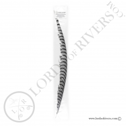 Lady Amherst pheasant - Center tail feather Lords of Rivers