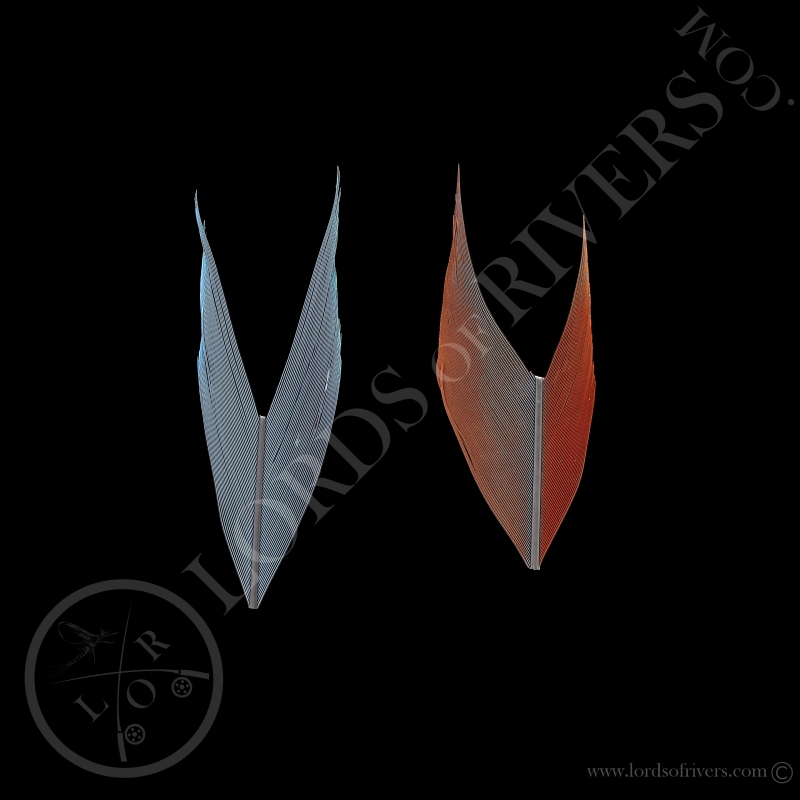 TryMe Macaw -2 sections of 1,97 inch Ara TryMe Macaw -2 sections of 1,97 inch Ara