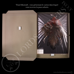 Tragopan Satyr - full skin  - Lords Of Rivers