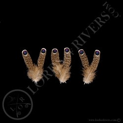 Grey Peacock Pheasant Paired Eyed Feather  S/XS/XXS