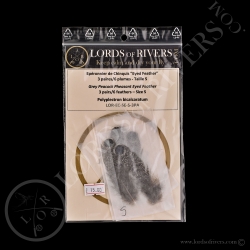 Epéronnier de Chinquis Paire de "Eyed Feather" S/XS/XXS