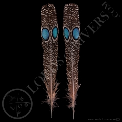 Double eyed Side Tails type 1 Paired Palawan Peacock Pheasant - Lords Of Rivers