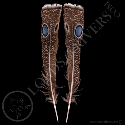 Epéronnier de Napoléon Paire de "Double eyed Side Tails Type 2" Lords Of Rivers