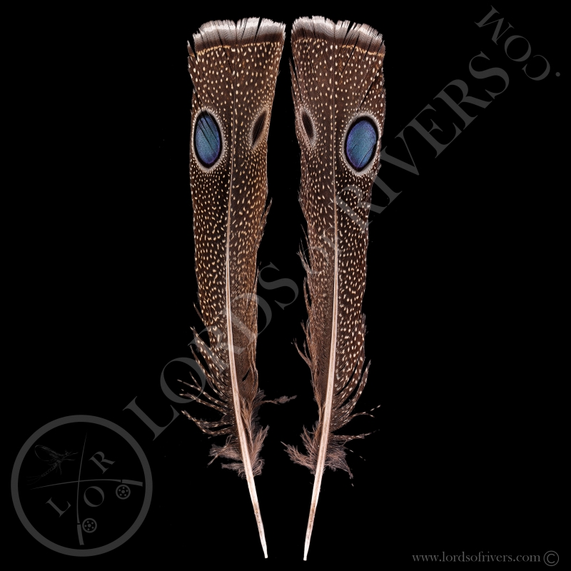 Epéronnier de Napoléon Paire de "Double eyed Side Tails Type 2" Lords Of Rivers