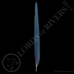 hyacinthe-macaw-center-tail-lords-of-riv