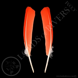 Scarlet Ibis -Red Ibis Paired Wings Cover Type 1- Lords Of Rivers