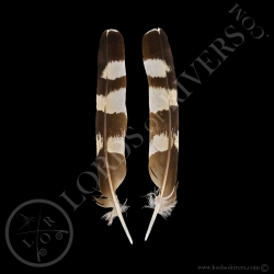 Deham's-Stanley Bustard Paired Wing Cover -Lords Of Rivers