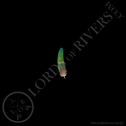 nicobar-pigeon-wing-cover-feather-pointe