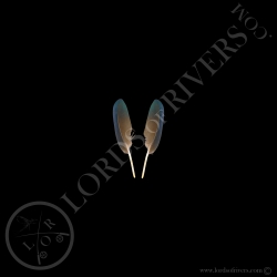 nicobar-pigeon-paired-wing-cover-feather