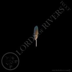 nicobar-pigeon-wing-cover-feather-pointe