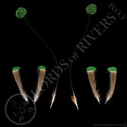 king-bird-of-paradise-set-2-paired-tails