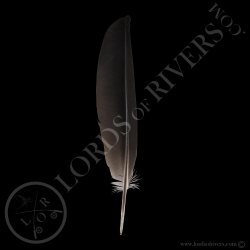 Grey Crowned-African Crane -Wing Cover Type 1 Black-Lords Of Rivers