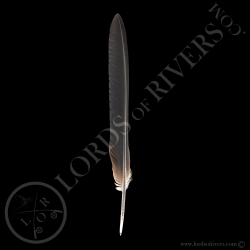 Red-Crowned Crane Black Wing Cover Feathers Type 2 - Lords Of Rivers