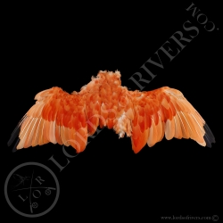 Scarlet Ibis - Full Skin - Lords Of Rivers