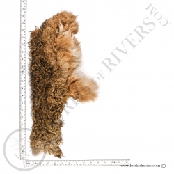 half-raw-tanned-hare-skin-lords-of-river