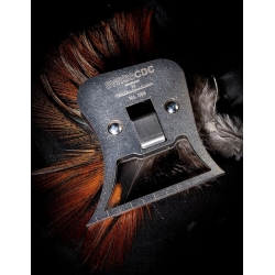 Kulchelmeister-SWISS CDC multiclamp