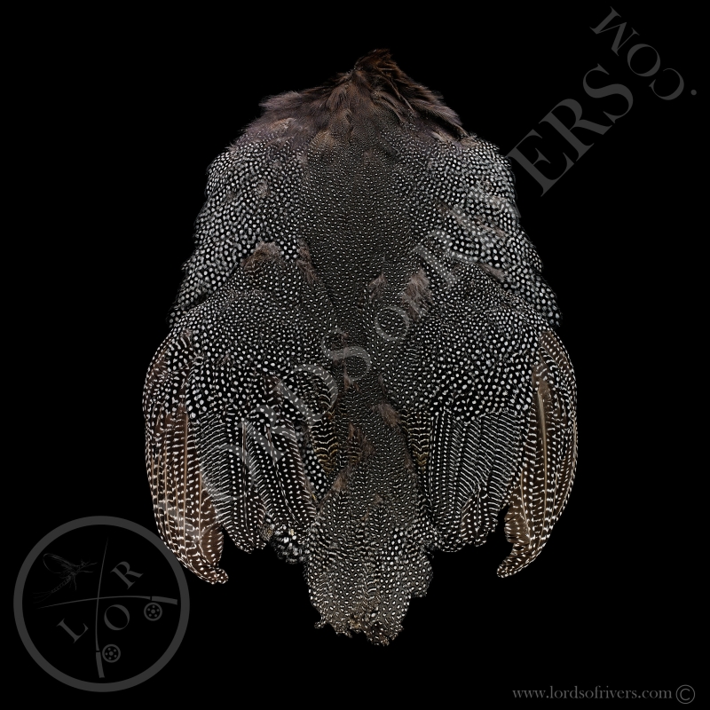 Pintade Peau Complète-Full skin XXL Lords of Rivers