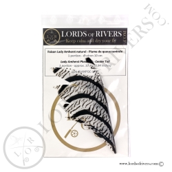 Lady Amherst pheasant -Piece of Center tail feathers Lords of Rivers