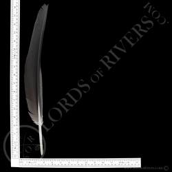 Bald Eagle Wing Cover Type 1 lords Of Rivers