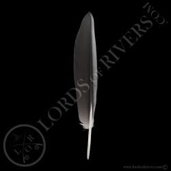 Bald Eagle Wing Cover "Grey & Black" Type 1 lords Of Rivers