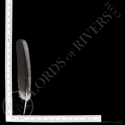 Bald Eagle Wing Cover "Grey & Black" Type 2 lords Of Rivers