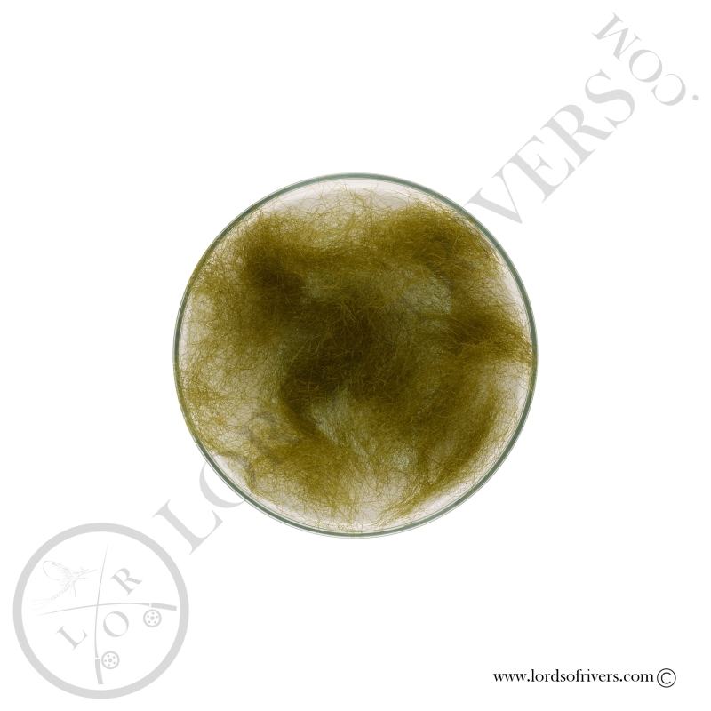 Dubbing de Phoque Véritable Lords Of Rivers