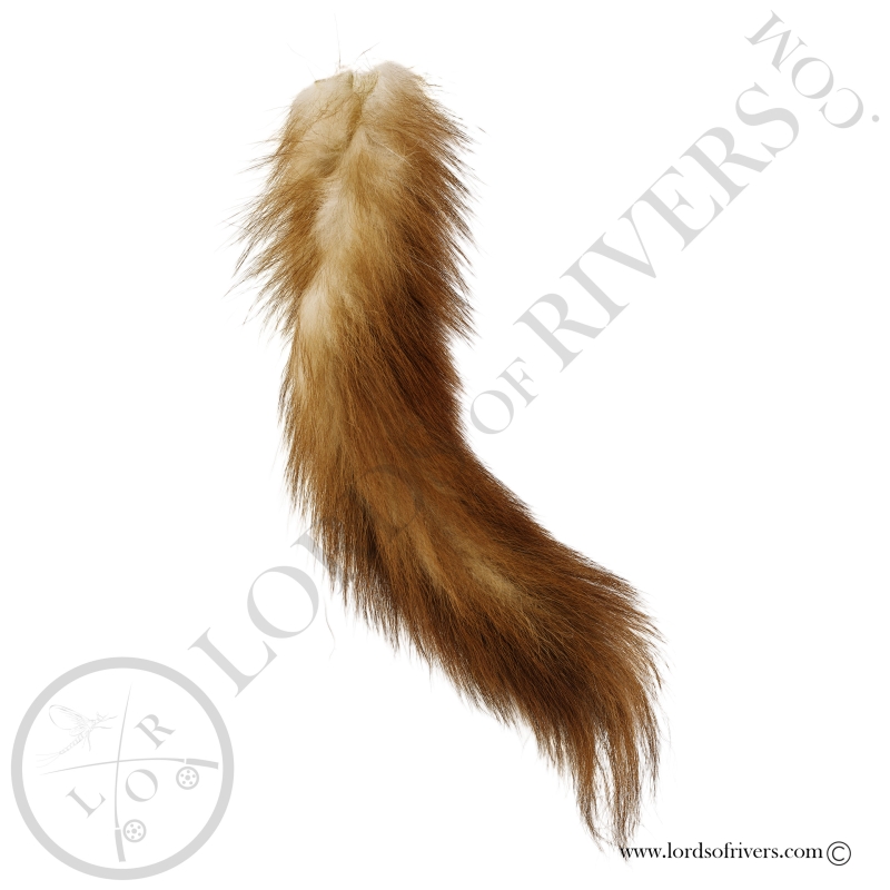 Beech Marten Tail on skin Lords of Rivers