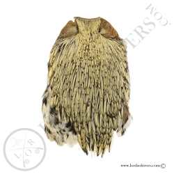 Indian Cock Cape Top Grade